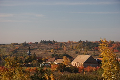 Vřesoviště u Popic
