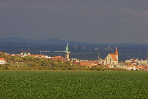 Podzim u Znojma, v pozadí Pálava