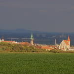 Podzim u Znojma, v pozadí Pálava