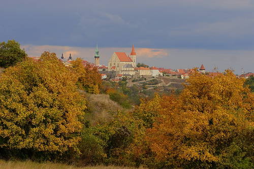 Podzim u Znojma - detail