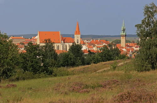Znojmo z Kraví Hory